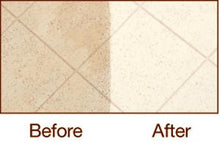 Load image into Gallery viewer, Stain Proof Alkaline Cleaner