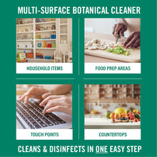 Load image into Gallery viewer, Benefect Decon 30 Botanical Disinfectant Ready-To-Use Spray
