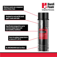 Load image into Gallery viewer, HANDIFOAM EXTREME