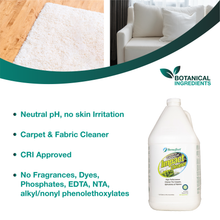Load image into Gallery viewer, Benefect Botanical Impact Cleaner