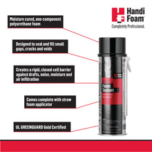 Load image into Gallery viewer, HandiFoam Sealant Straw Foam