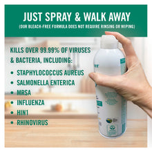 Load image into Gallery viewer, Benefect Decon 30 Botanical Disinfectant Ready-To-Use Spray
