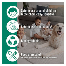 Load image into Gallery viewer, Benefect Decon 30 Botanical Disinfectant Ready-To-Use Spray
