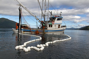 Duralux Fishing Net Paint